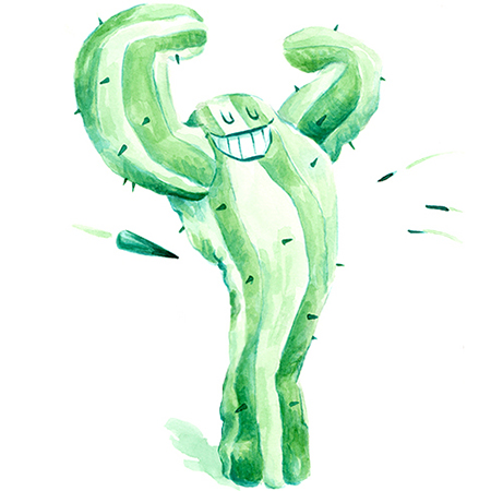 almeria 2 cactus